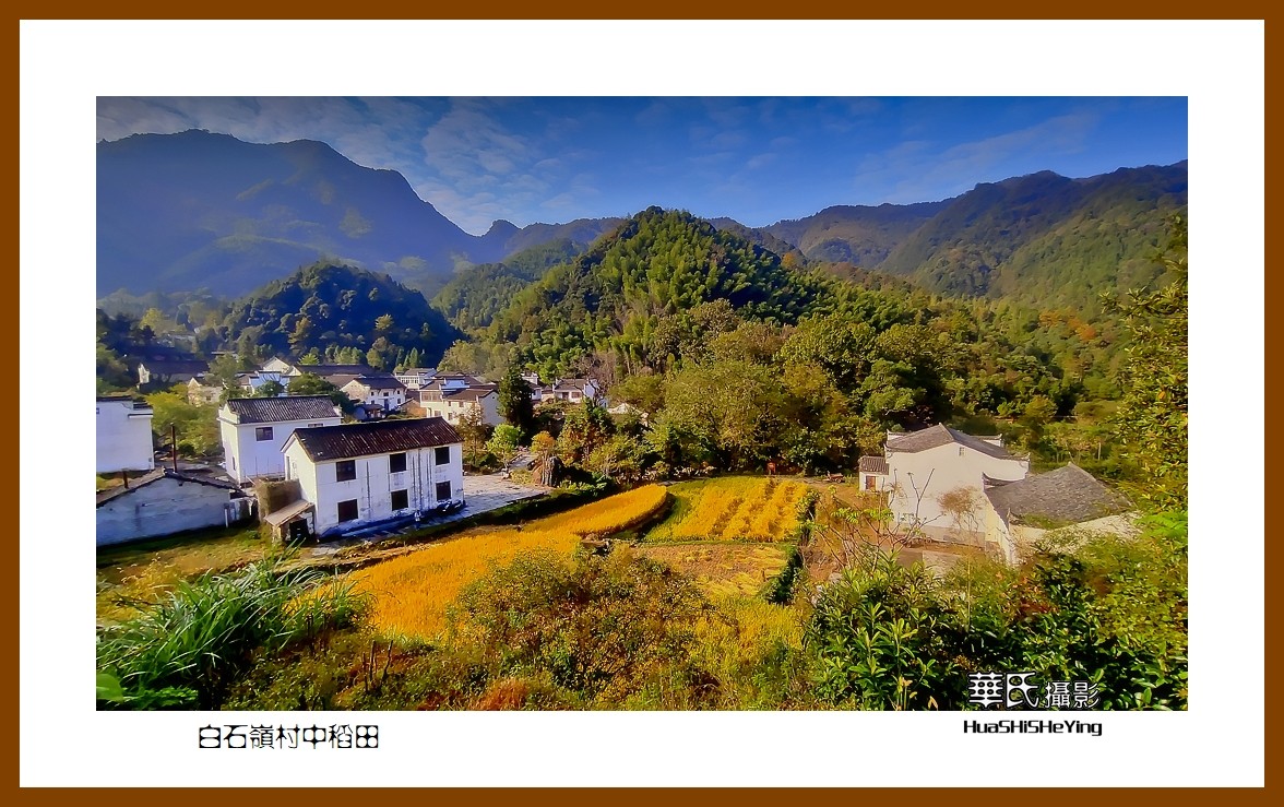 2021南行慢游安徽118白石岭村中稻田池州市石台县