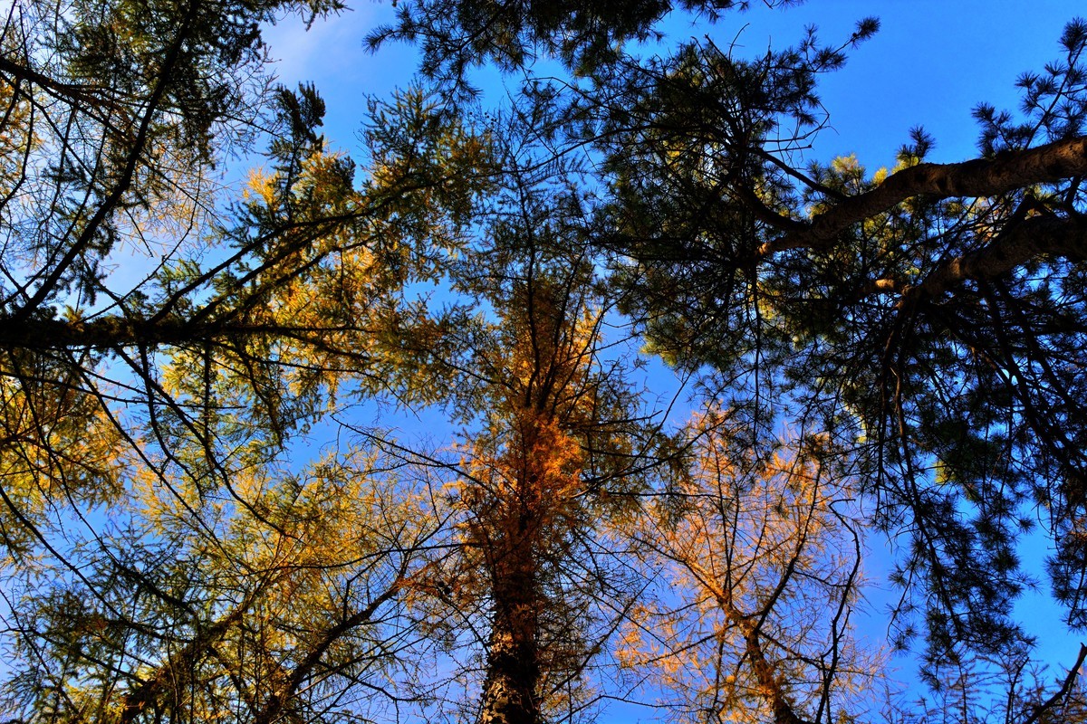 D5200落幕了，发一些以前拍的照片吧