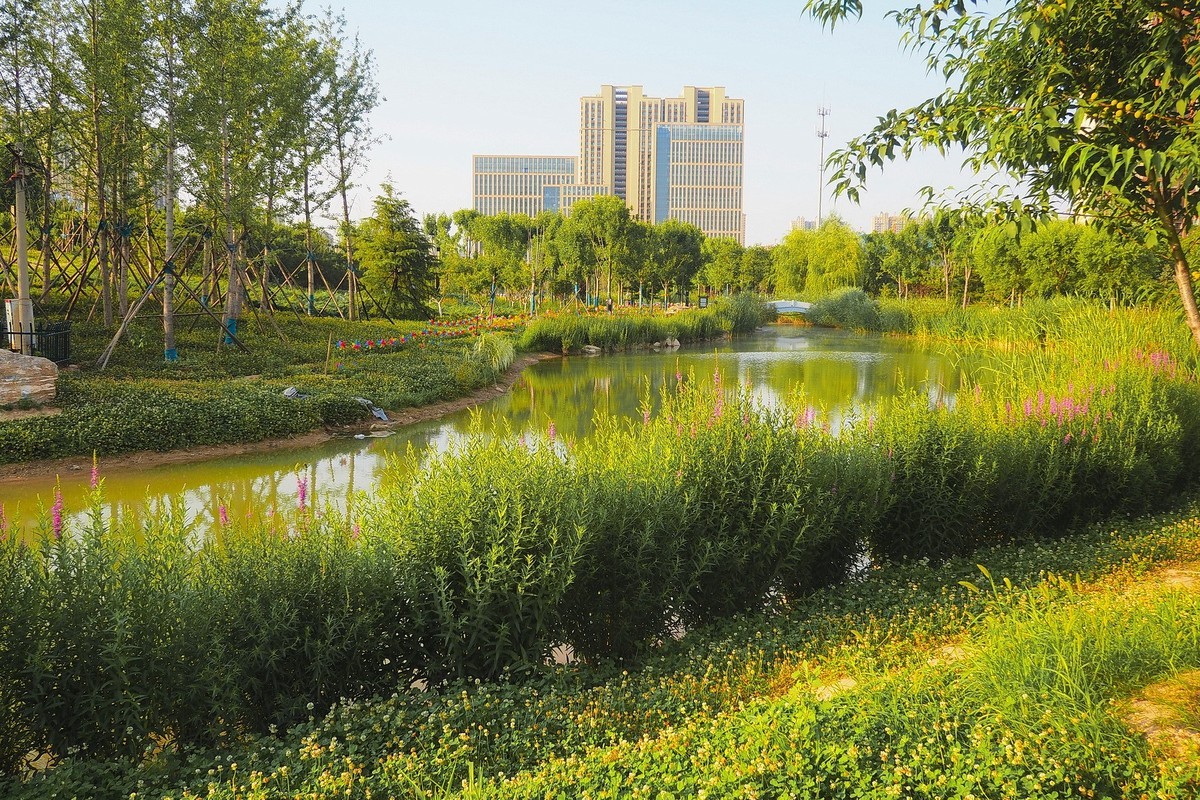 夏日清晨的昆仑公园