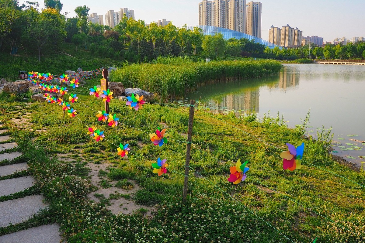 夏日清晨的昆仑公园