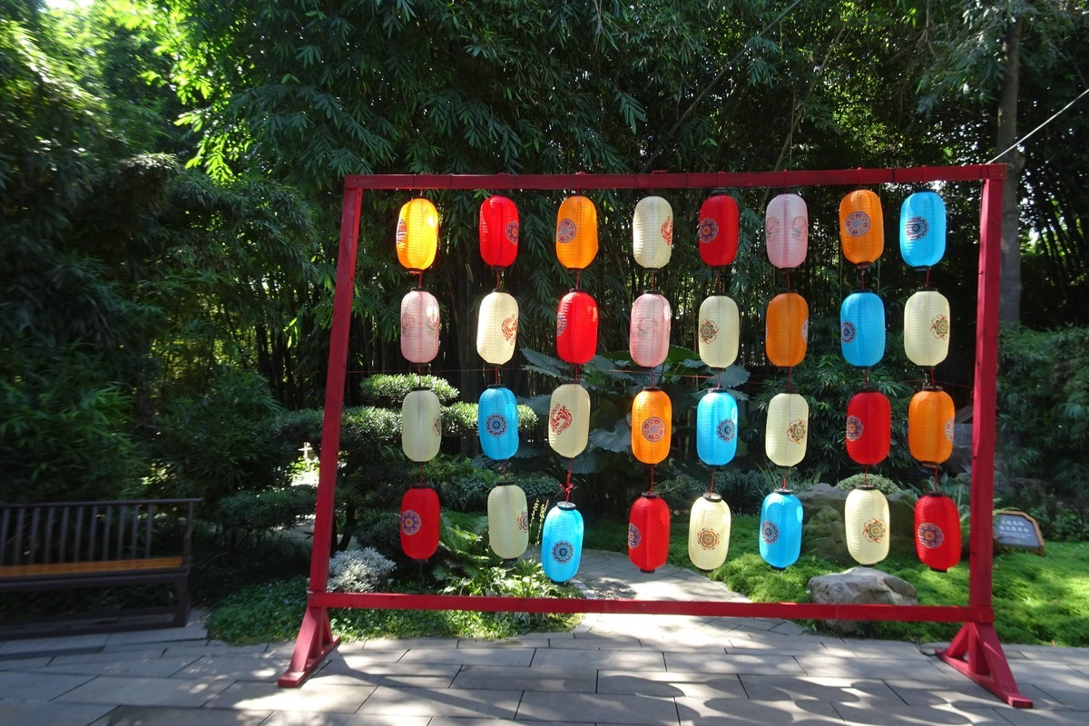 望江楼的翠竹竹影