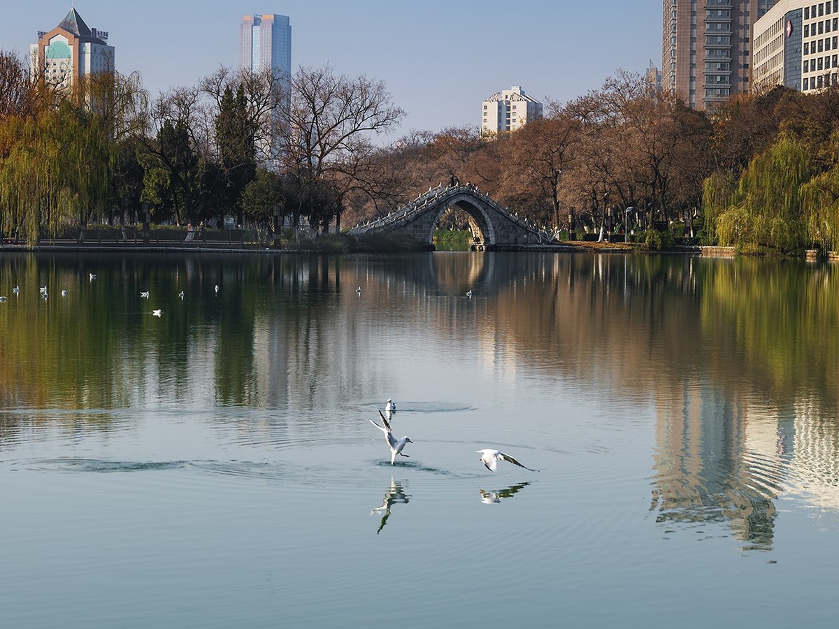 《包公园拍红嘴鸥》(32-64mm镜头）
