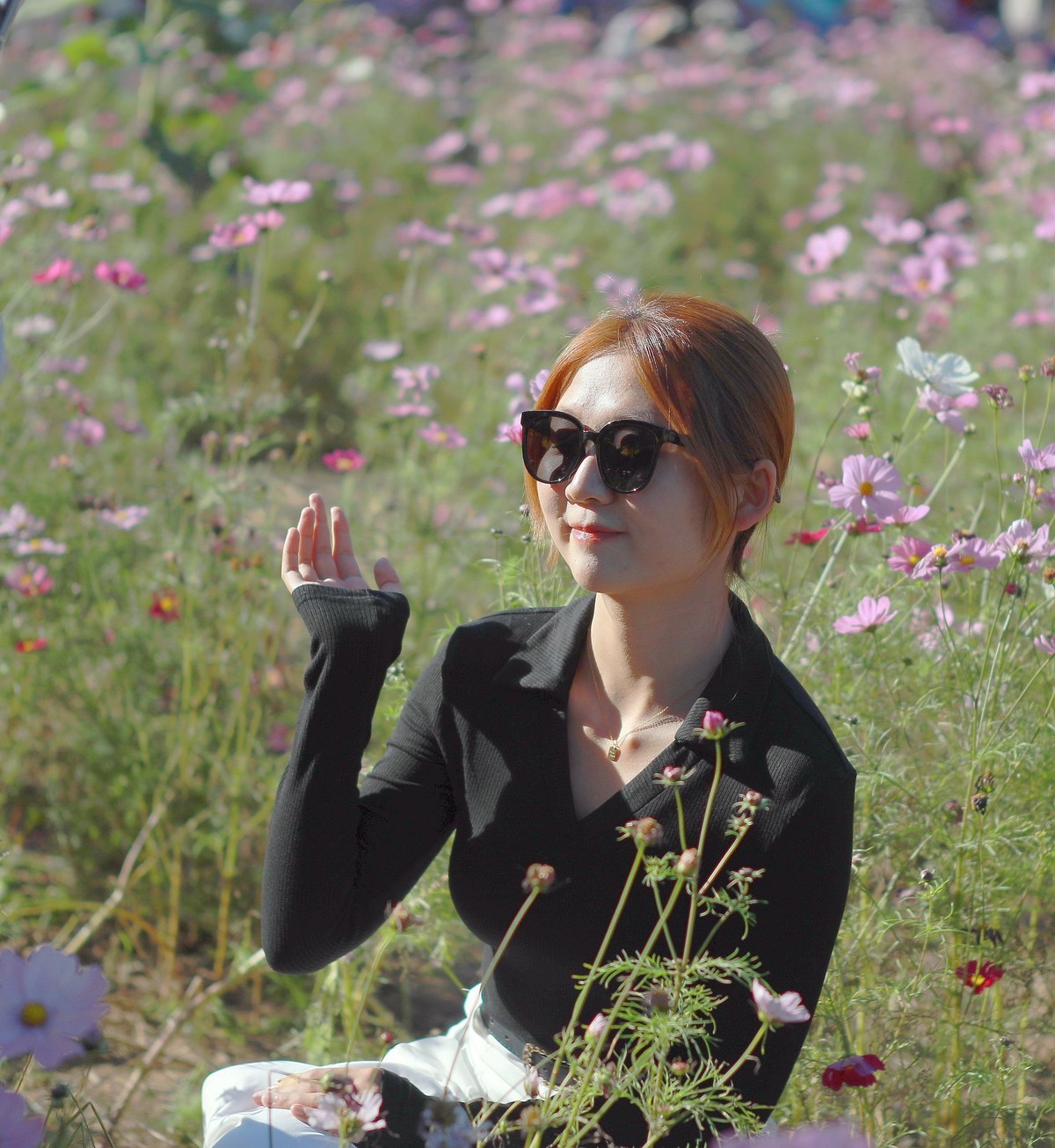 秋花里