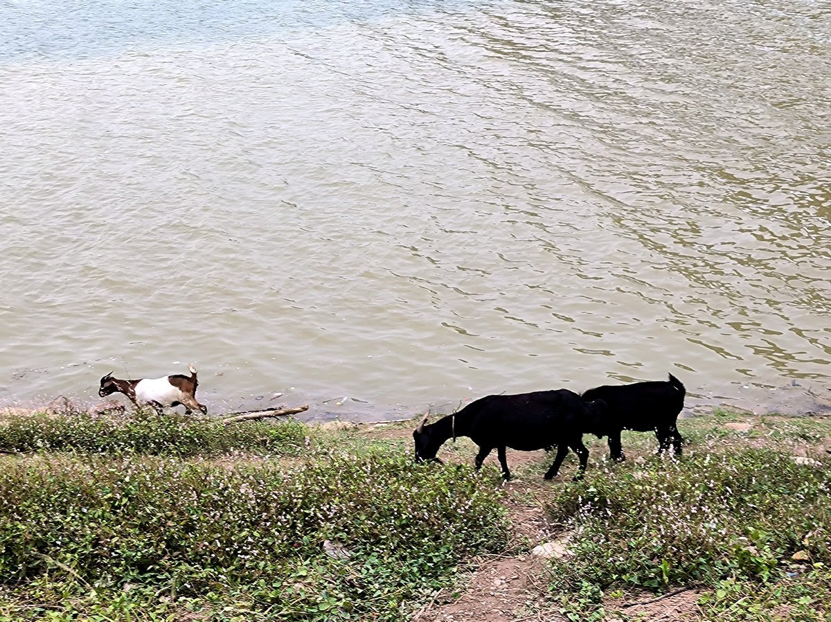 漫步星城 走街串巷（499）浏阳河畔