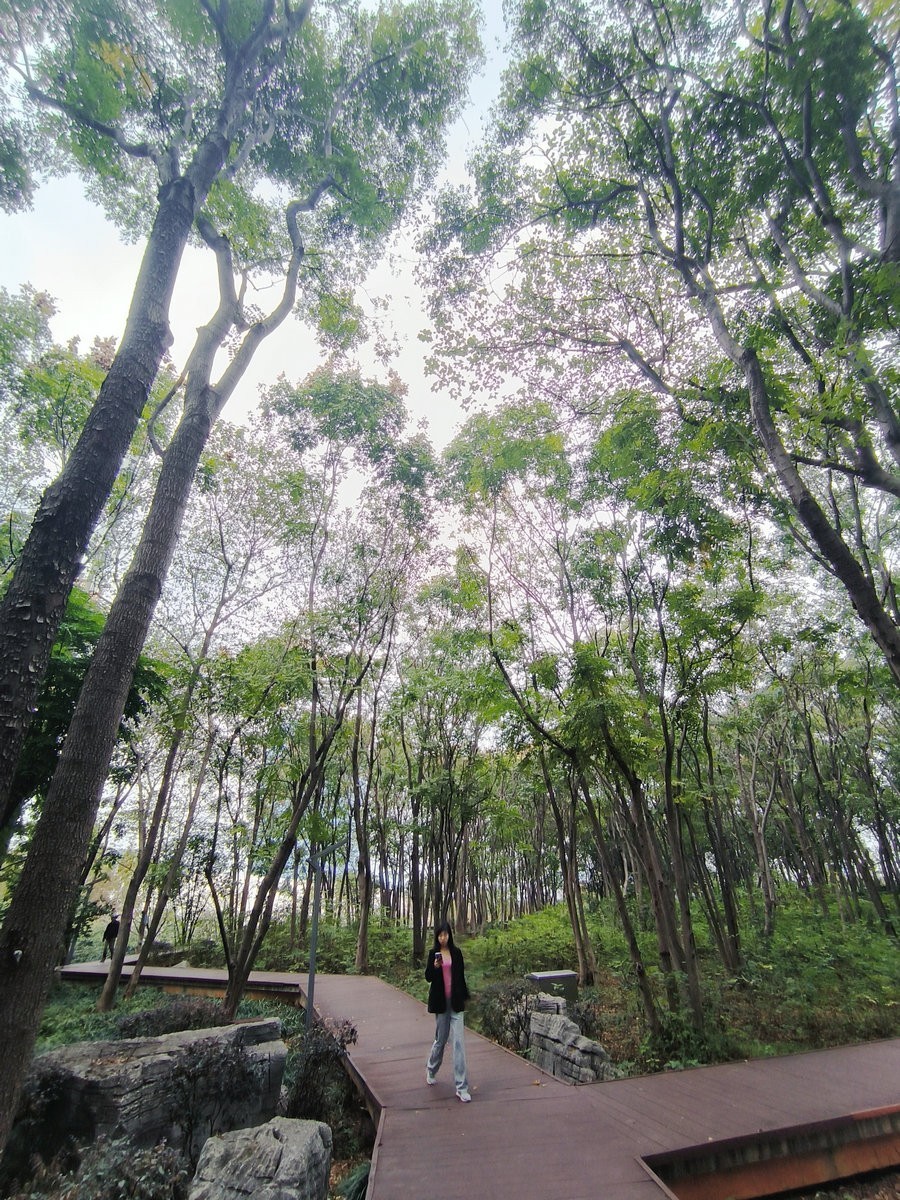 漫步星城 走街串巷（501）沙湾公园