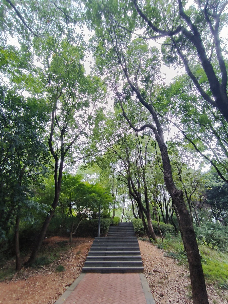 漫步星城 走街串巷（501）沙湾公园