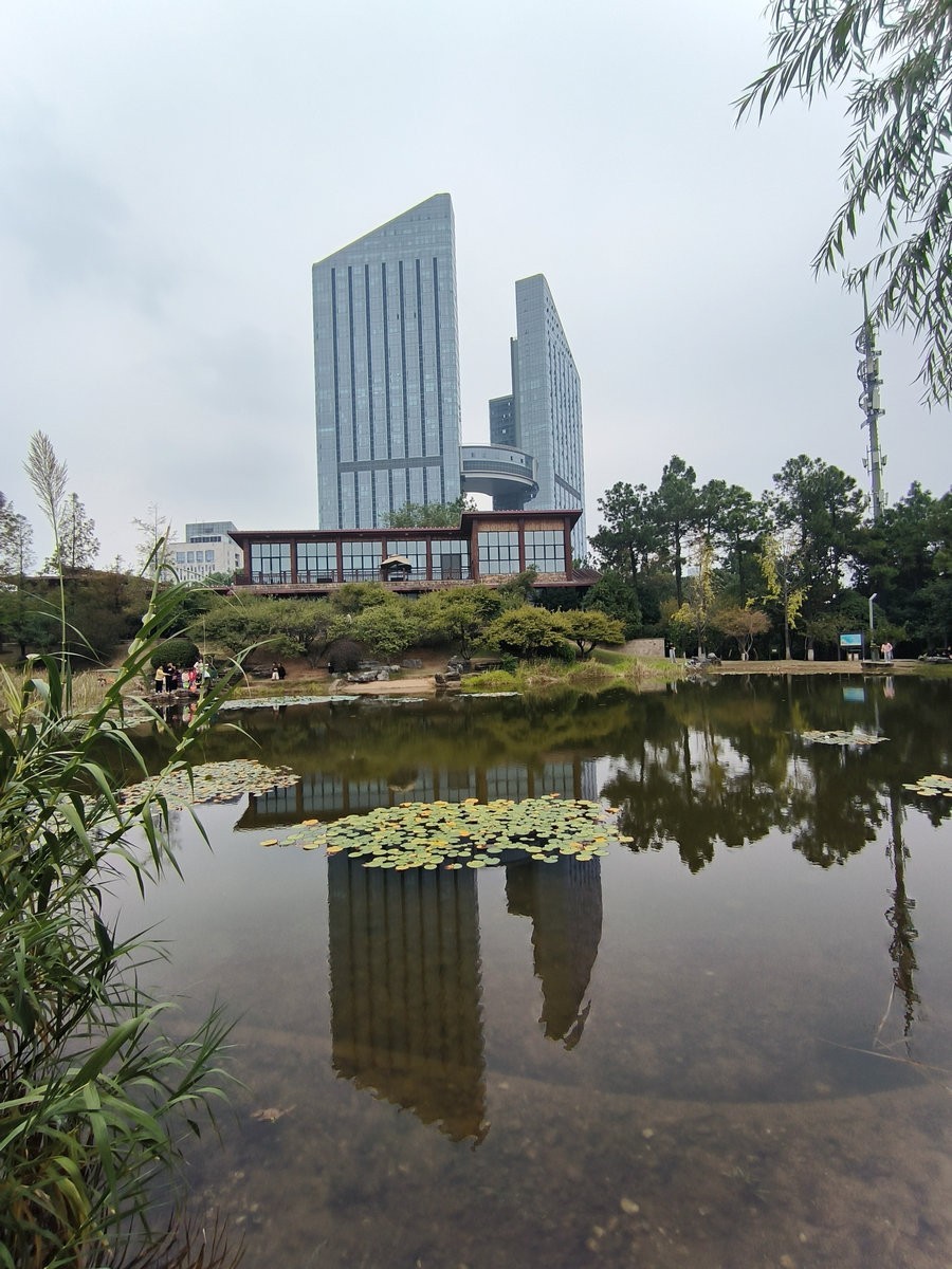 漫步星城 走街串巷（501）沙湾公园