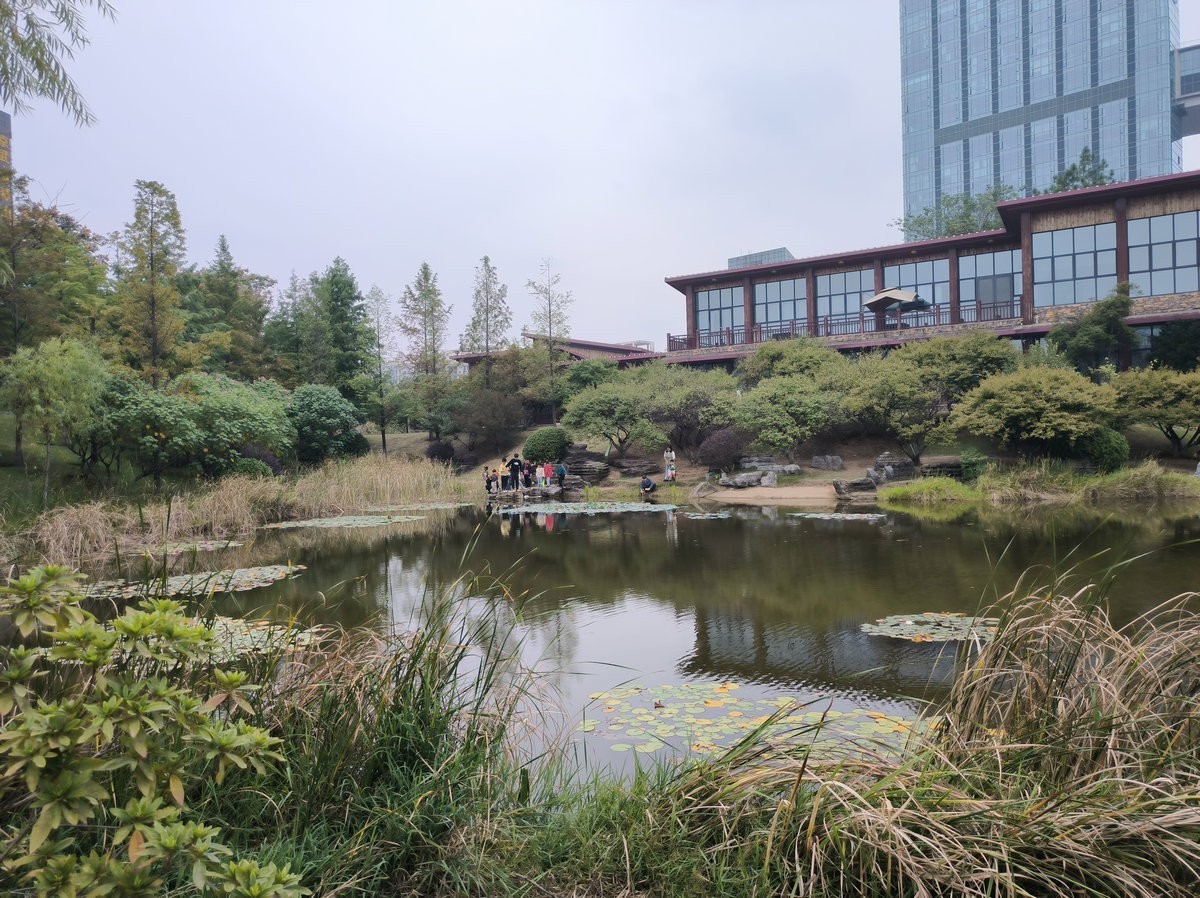 漫步星城 走街串巷（501）沙湾公园