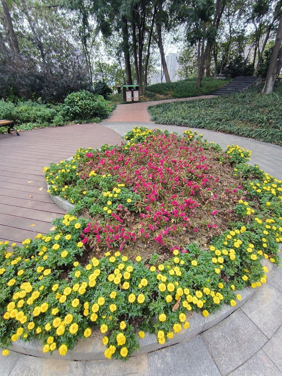 漫步星城 走街串巷（501）沙湾公园