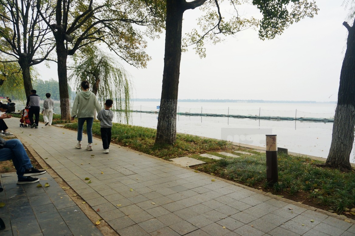 湖畔散步——武汉随笔