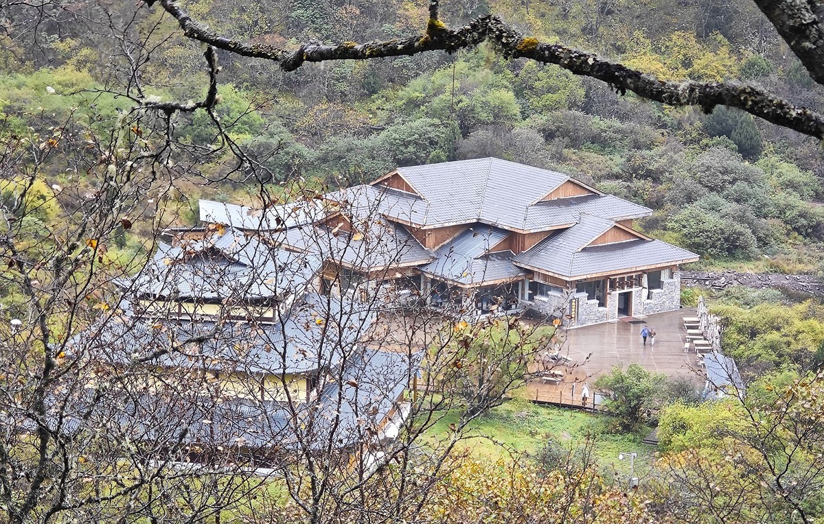 1025雨雾中的黄龙森林