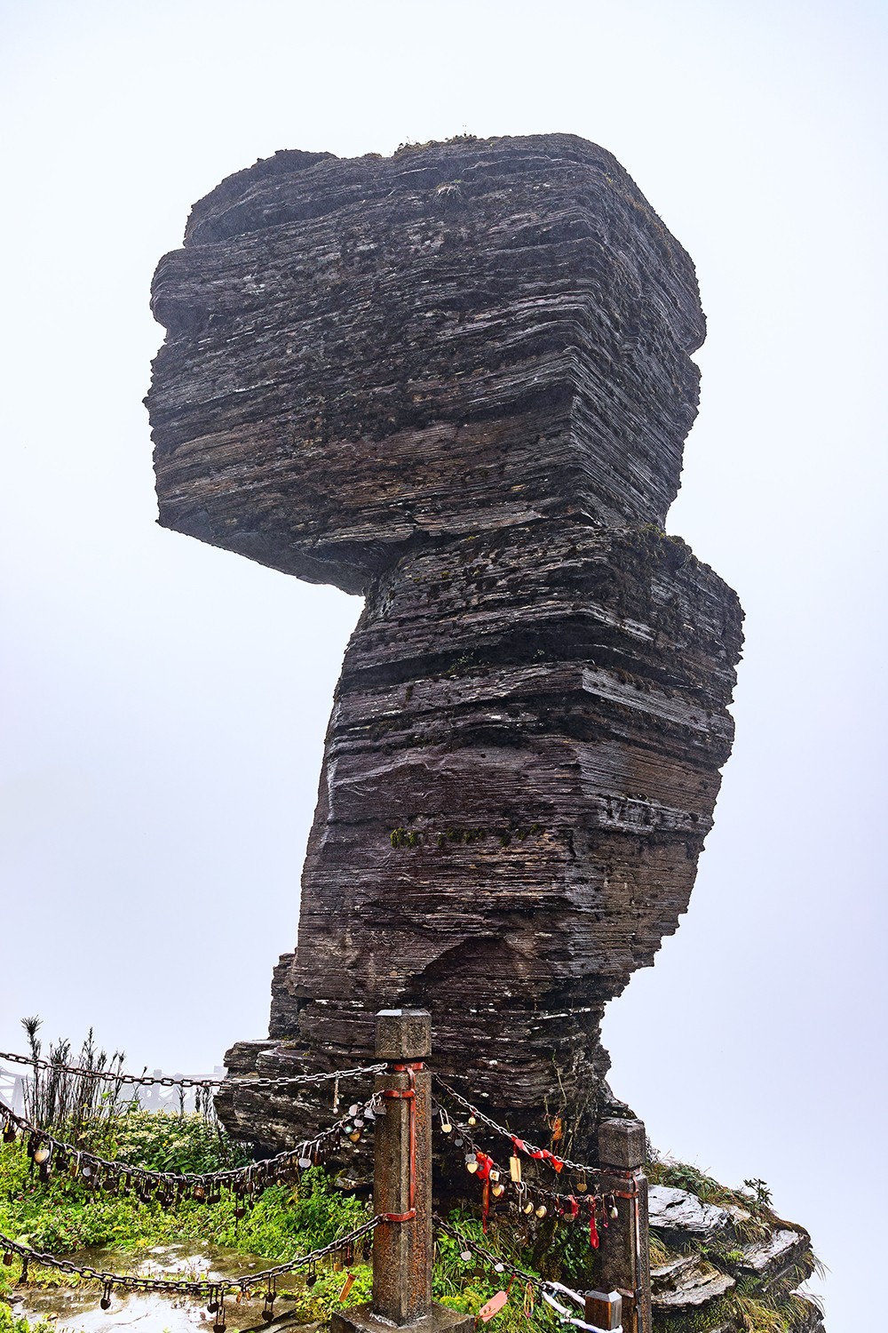 旅游记录 ：贵州 · 铜仁 · 雨雾中的梵净山