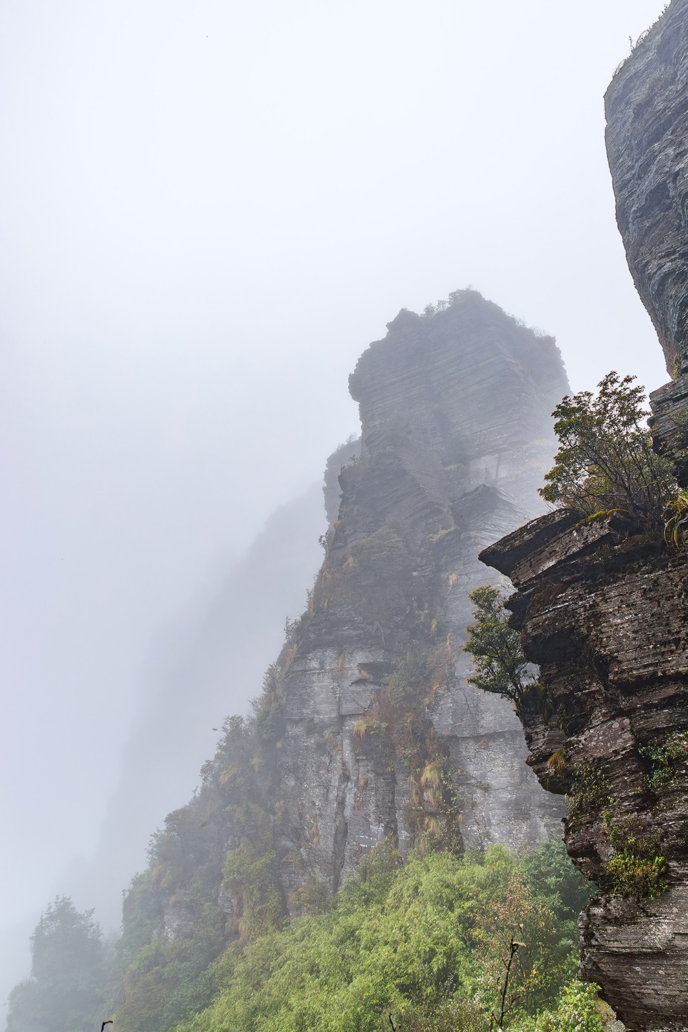 旅游记录 ：贵州 · 铜仁 · 雨雾中的梵净山