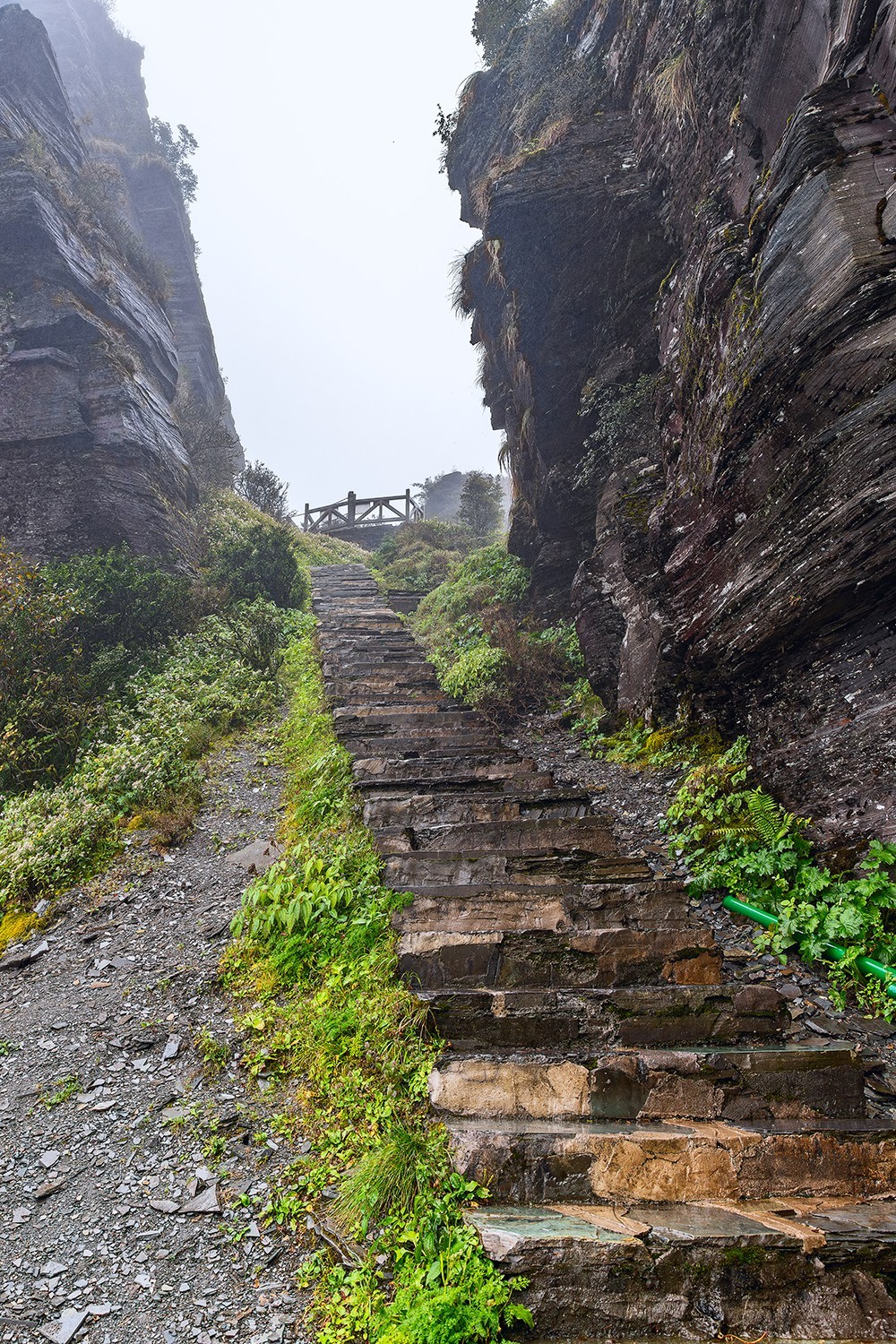 旅游记录 ：贵州 · 铜仁 · 雨雾中的梵净山