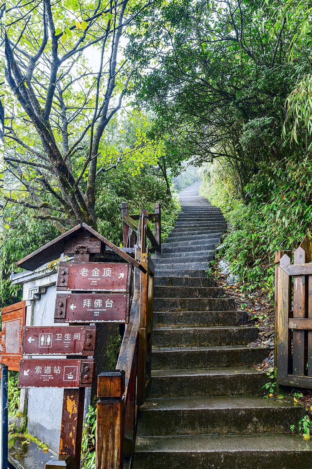 旅游记录 ：贵州 · 铜仁 · 雨雾中的梵净山