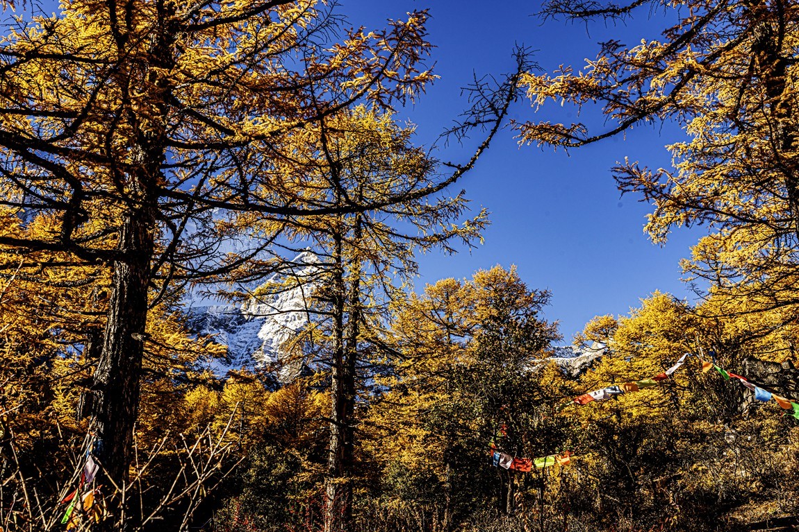 仙乃日--稻城亚丁三神山之首【5】