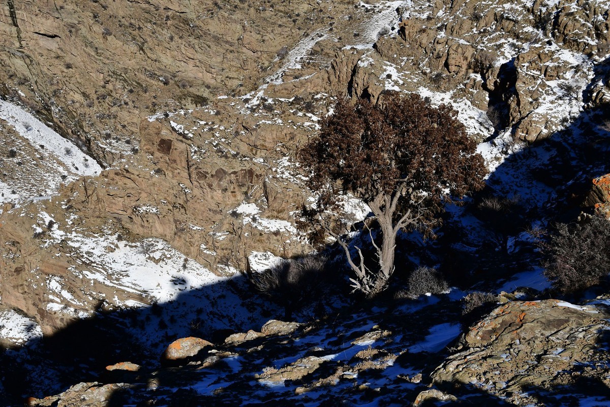 雪后去爬贺兰山