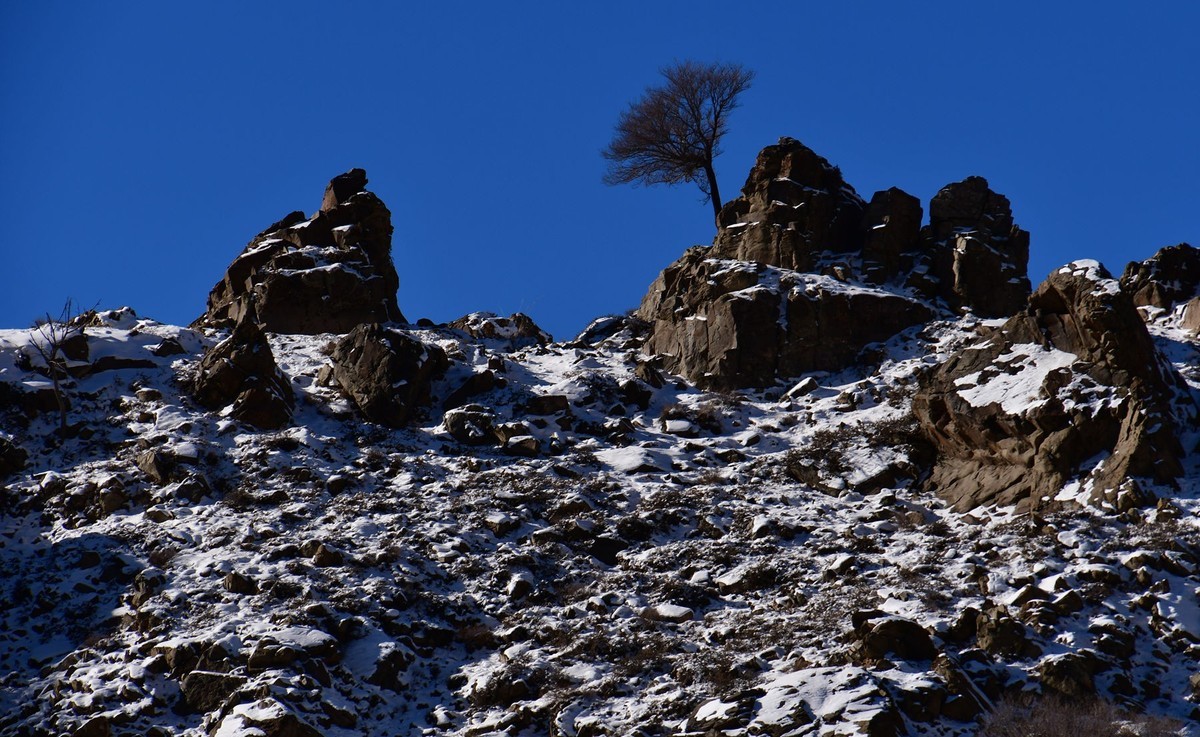 雪后去爬贺兰山
