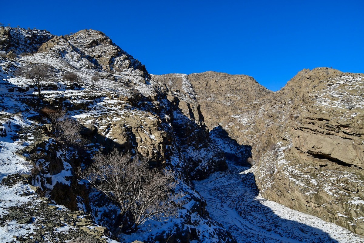 雪后去爬贺兰山