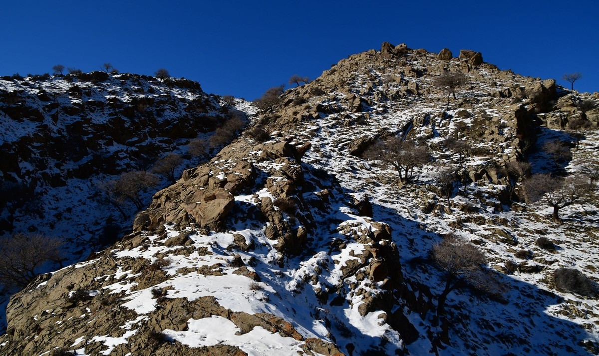 雪后去爬贺兰山