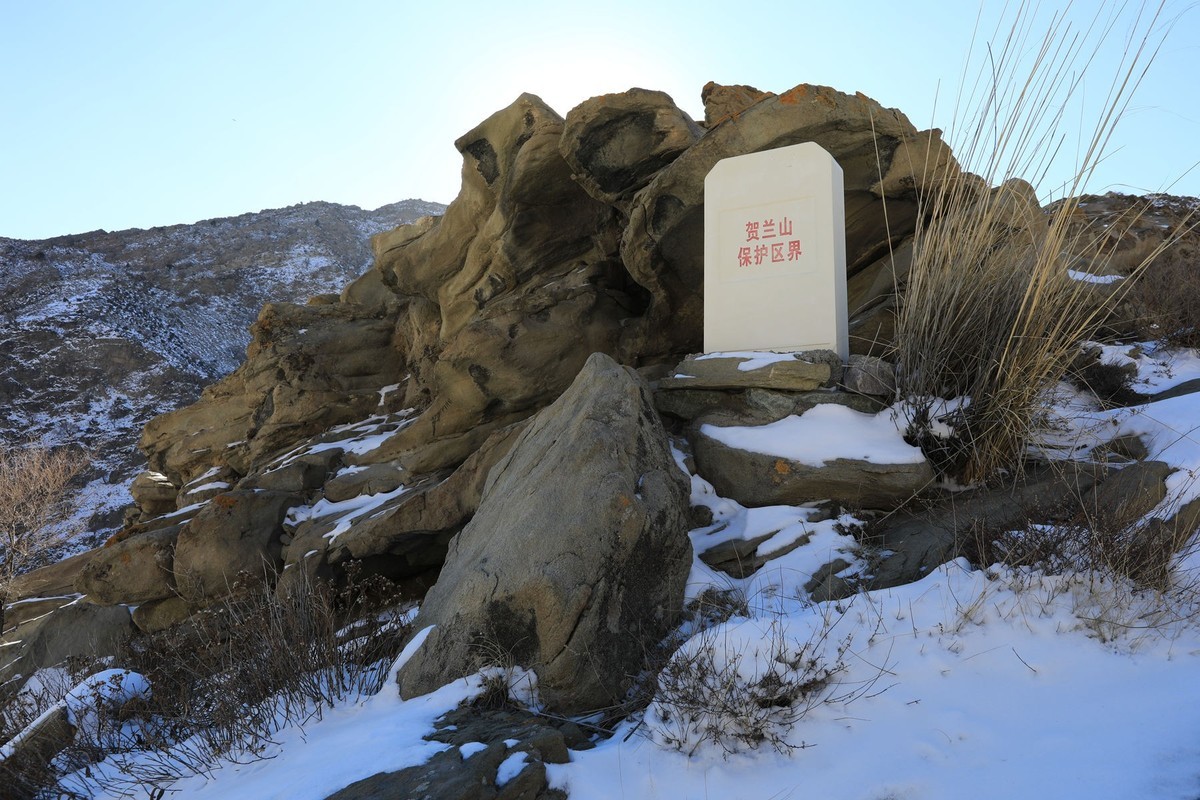 雪后爬山随拍