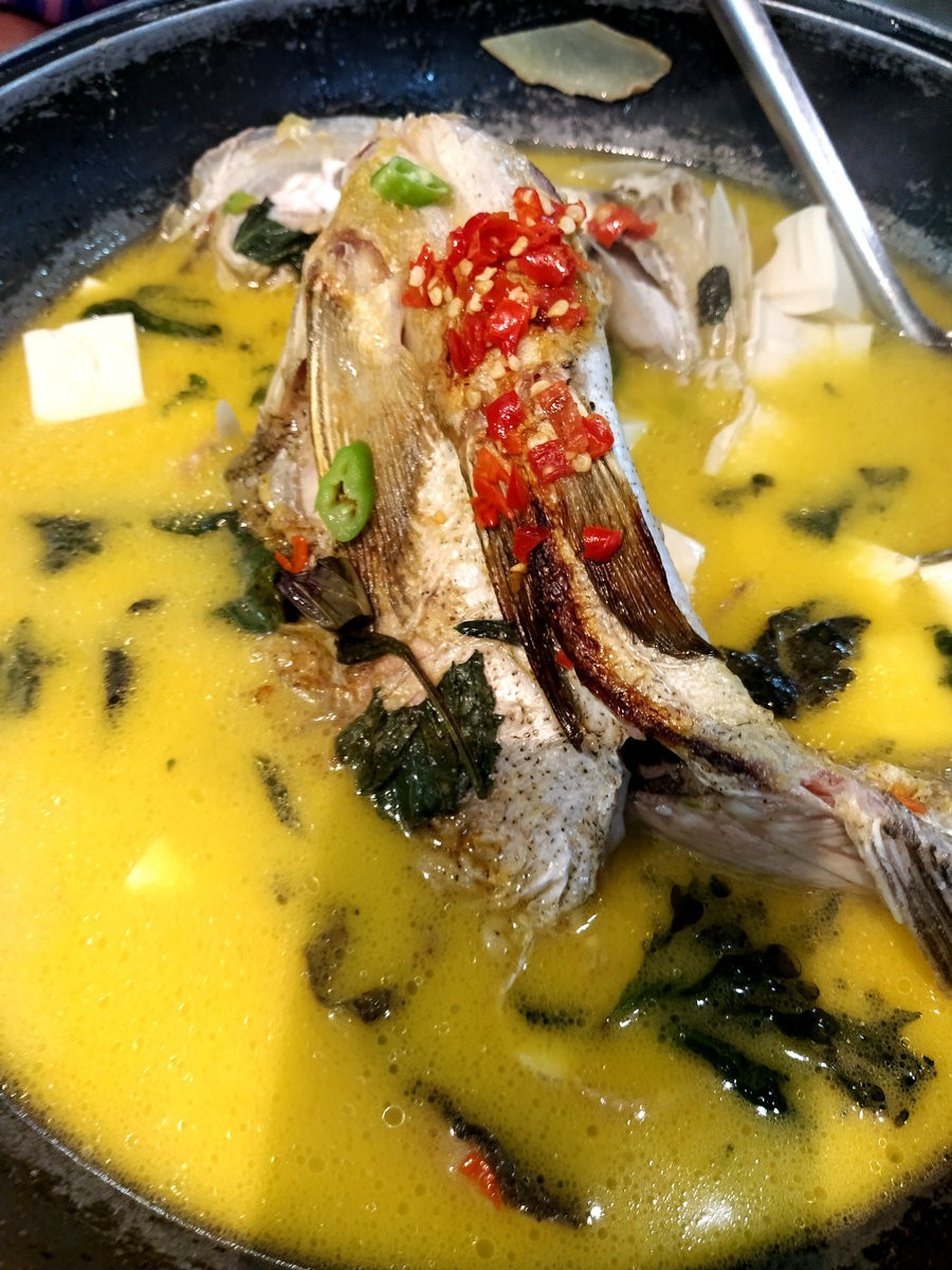 漫步星城 走街串巷（252）坦克部队