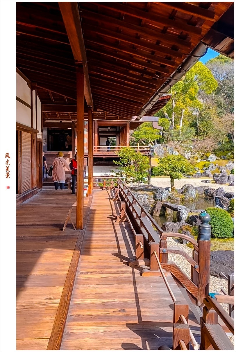 2023年第0240贴-樱花季纪实抓拍（0411F）