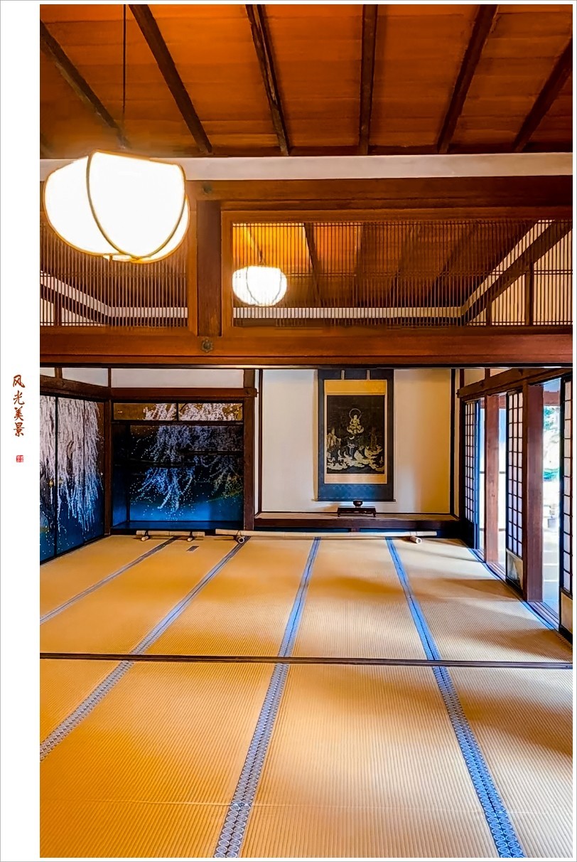 2023年第0240贴-樱花季纪实抓拍（0411F）