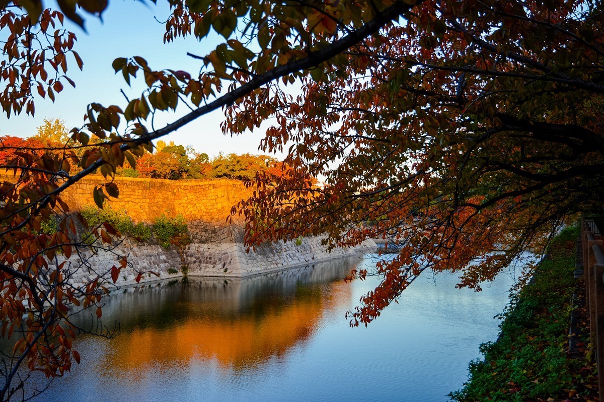 2023年-大阪行游拍-391