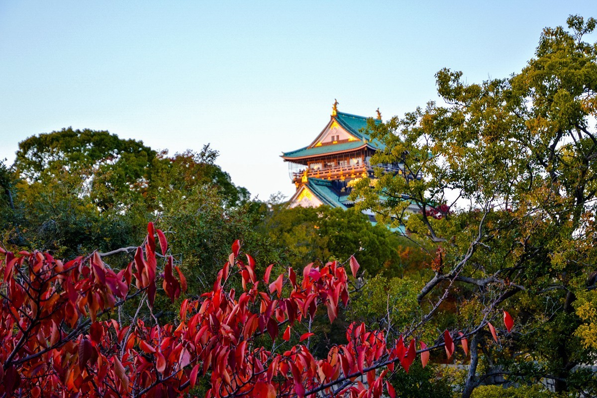 2023年-大阪行游拍-391