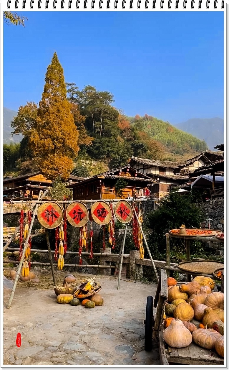 2023年-林坑纪实抓拍-1231
