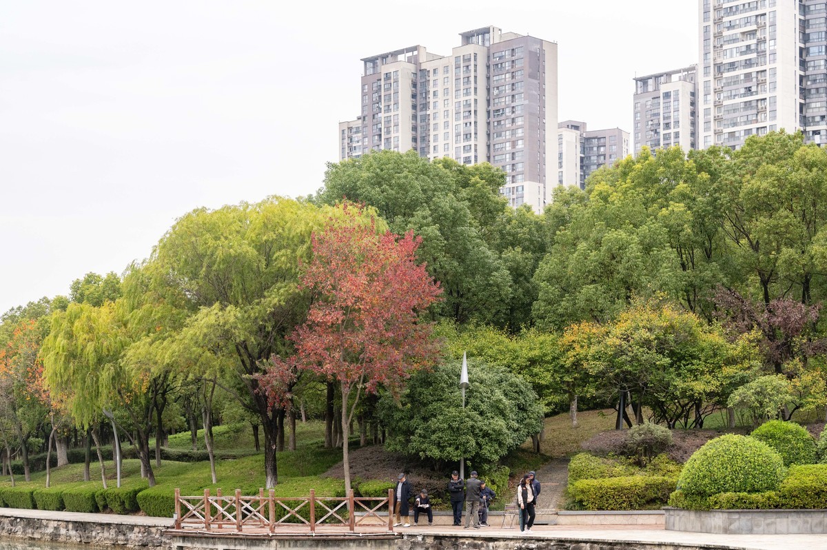 庐州印象（403）匡河公园初冬