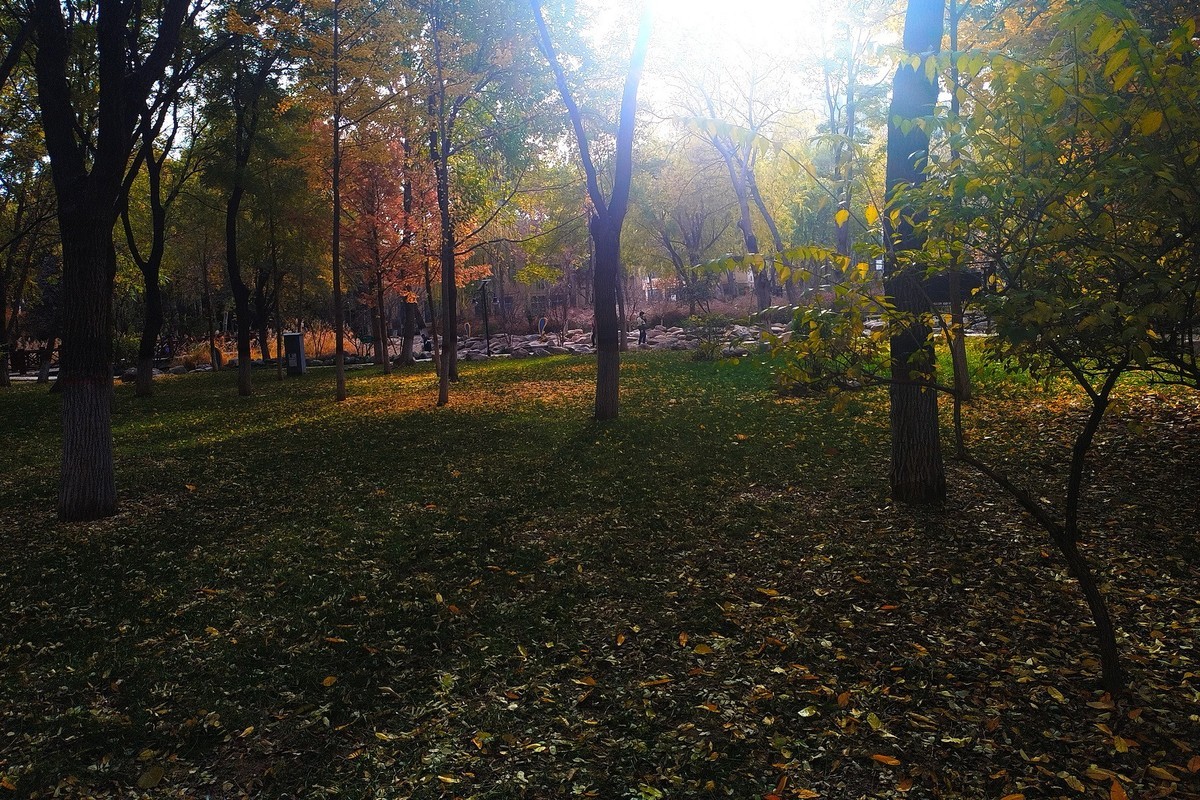 晚秋·槐北公园