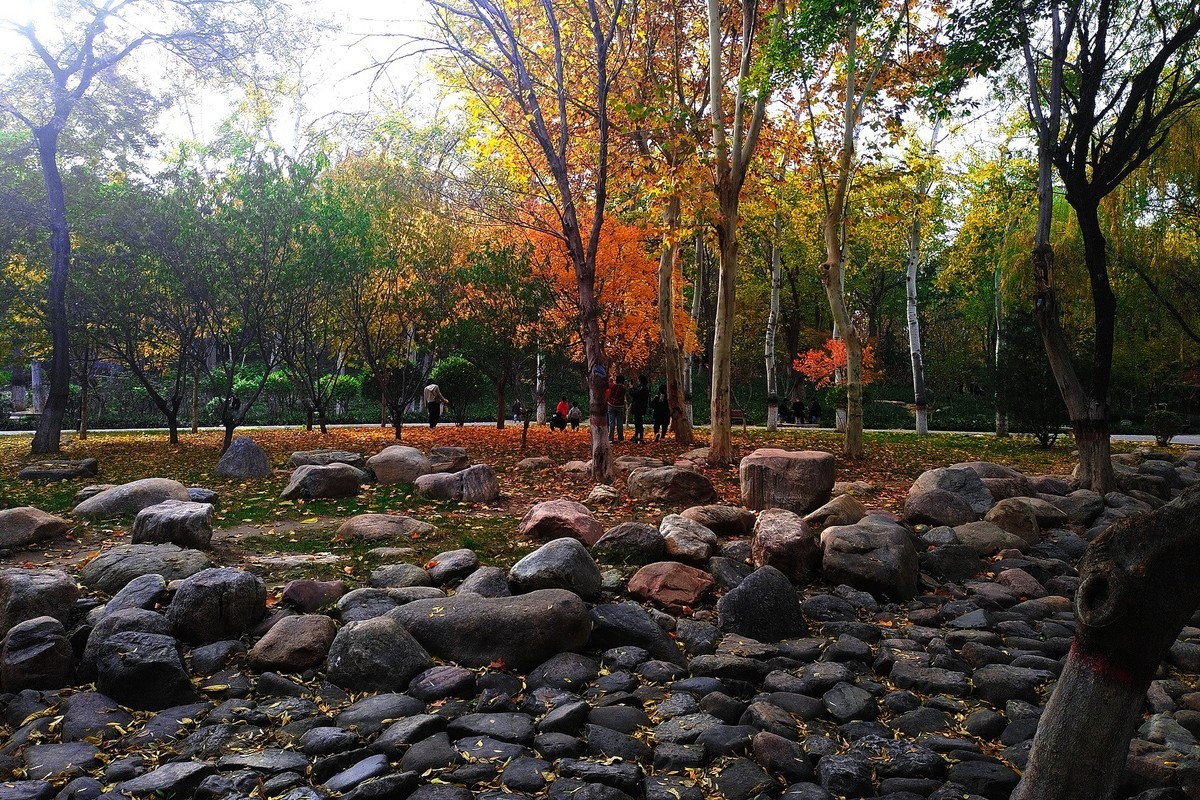 晚秋·槐北公园