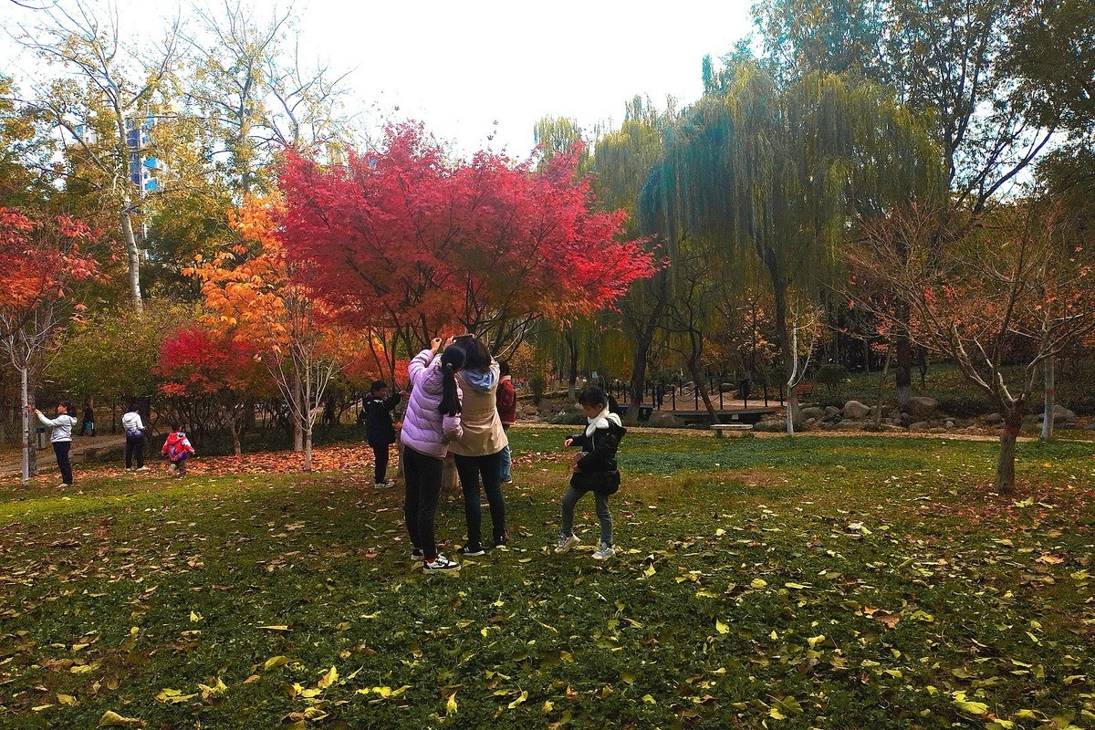 晚秋·槐北公园