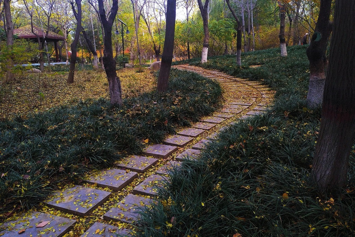 晚秋·槐北公园