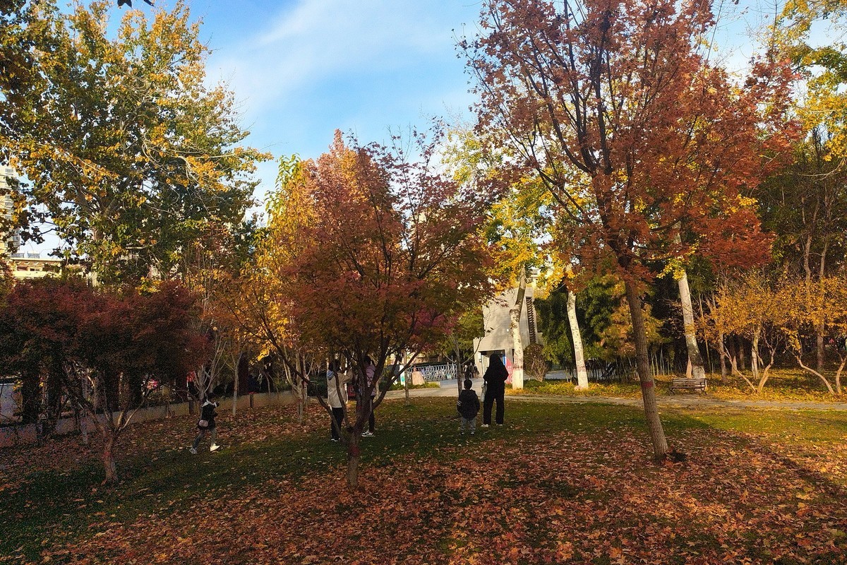 晚秋·槐北公园