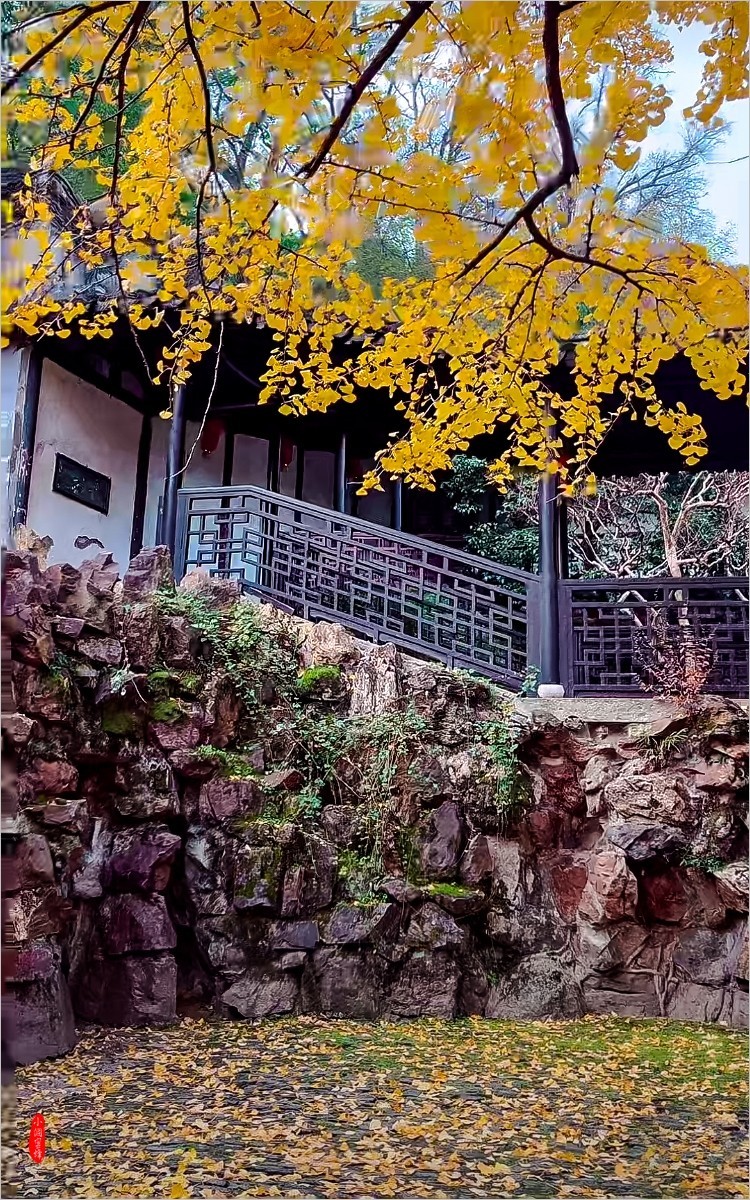 2024年- 江南风光抓拍-1075