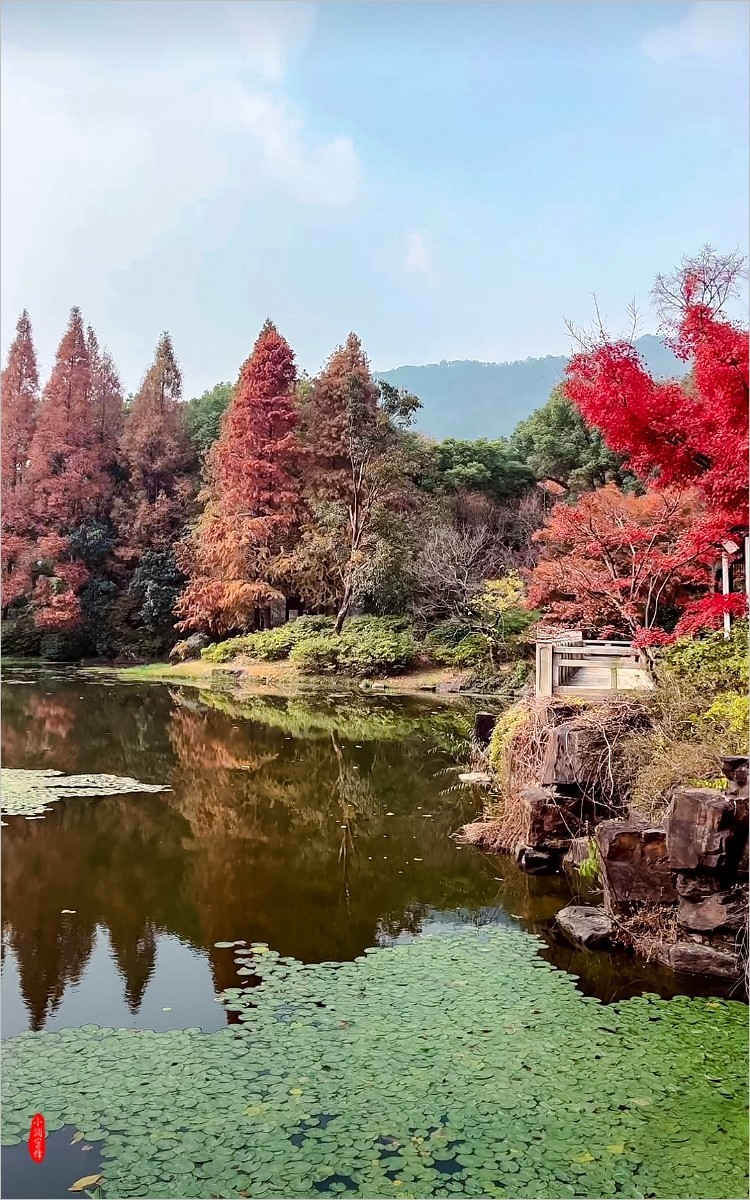 2024年- 江南风光抓拍-1075