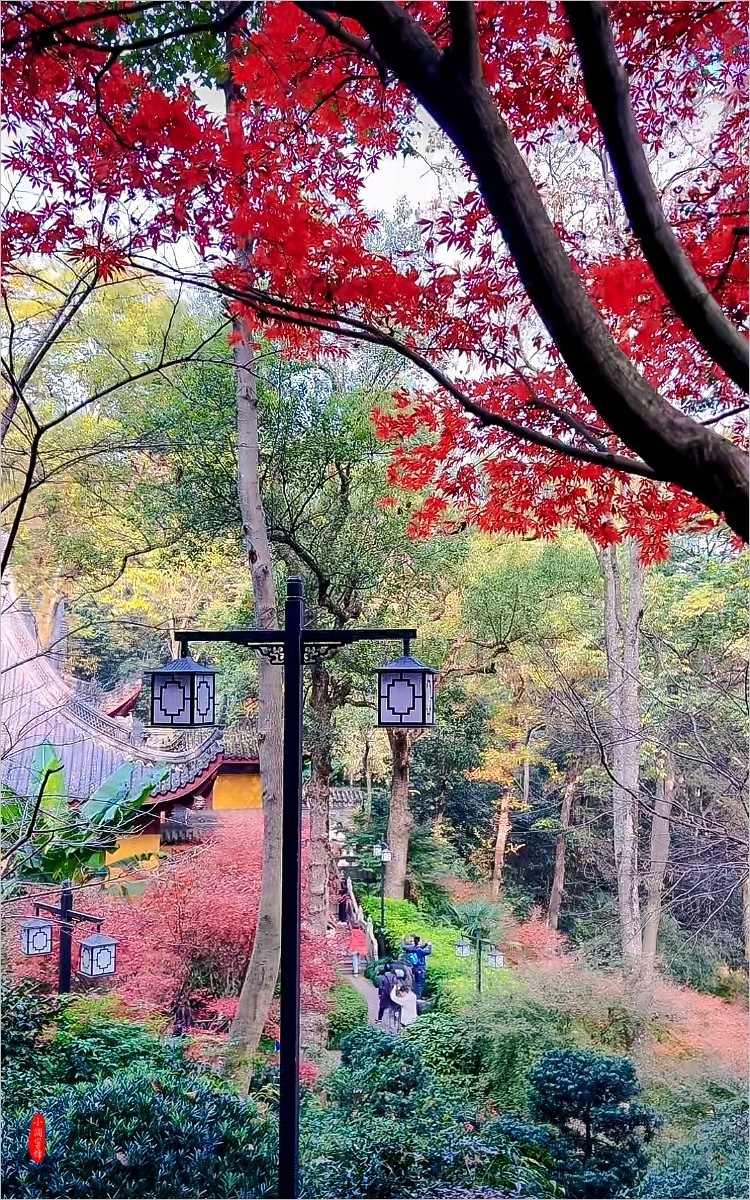 2024年- 江南风光抓拍-1075