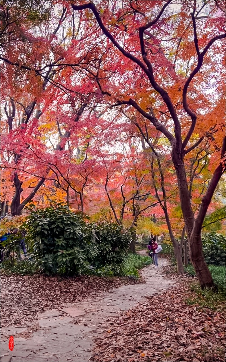 2024年- 江南风光抓拍-1075