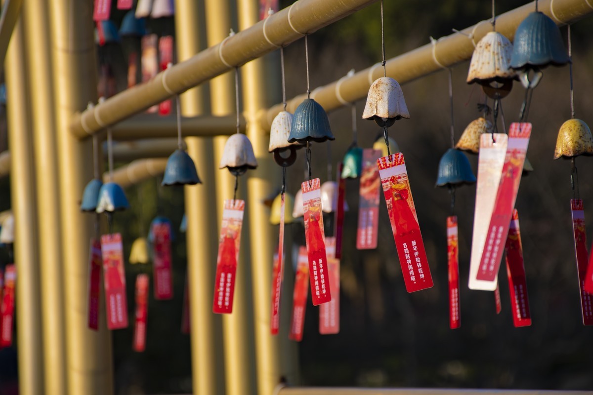 拍照狂魔之无锡灵山二【15P】