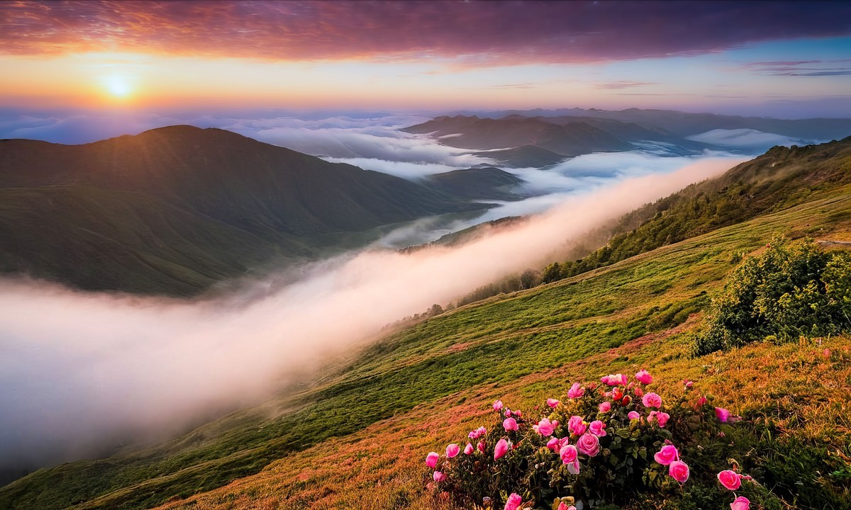 心灵在晨光中得以放飞与重生