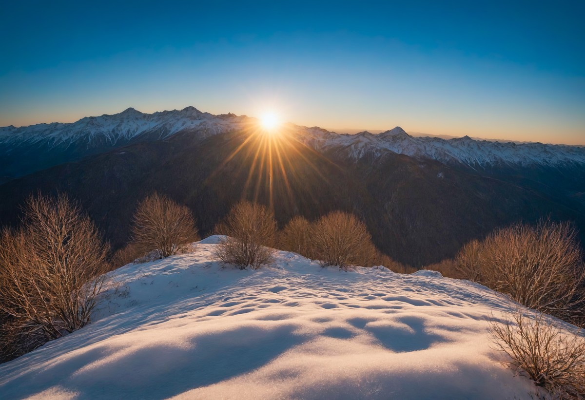 心灵在晨光中得以放飞与重生