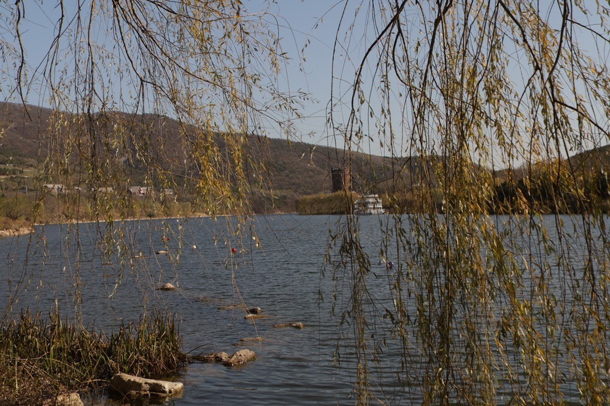 滨城游拍——西郊棠梨湖公园（2024-2）