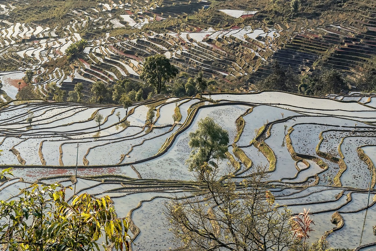 云南红河 · 撒玛坝梯田