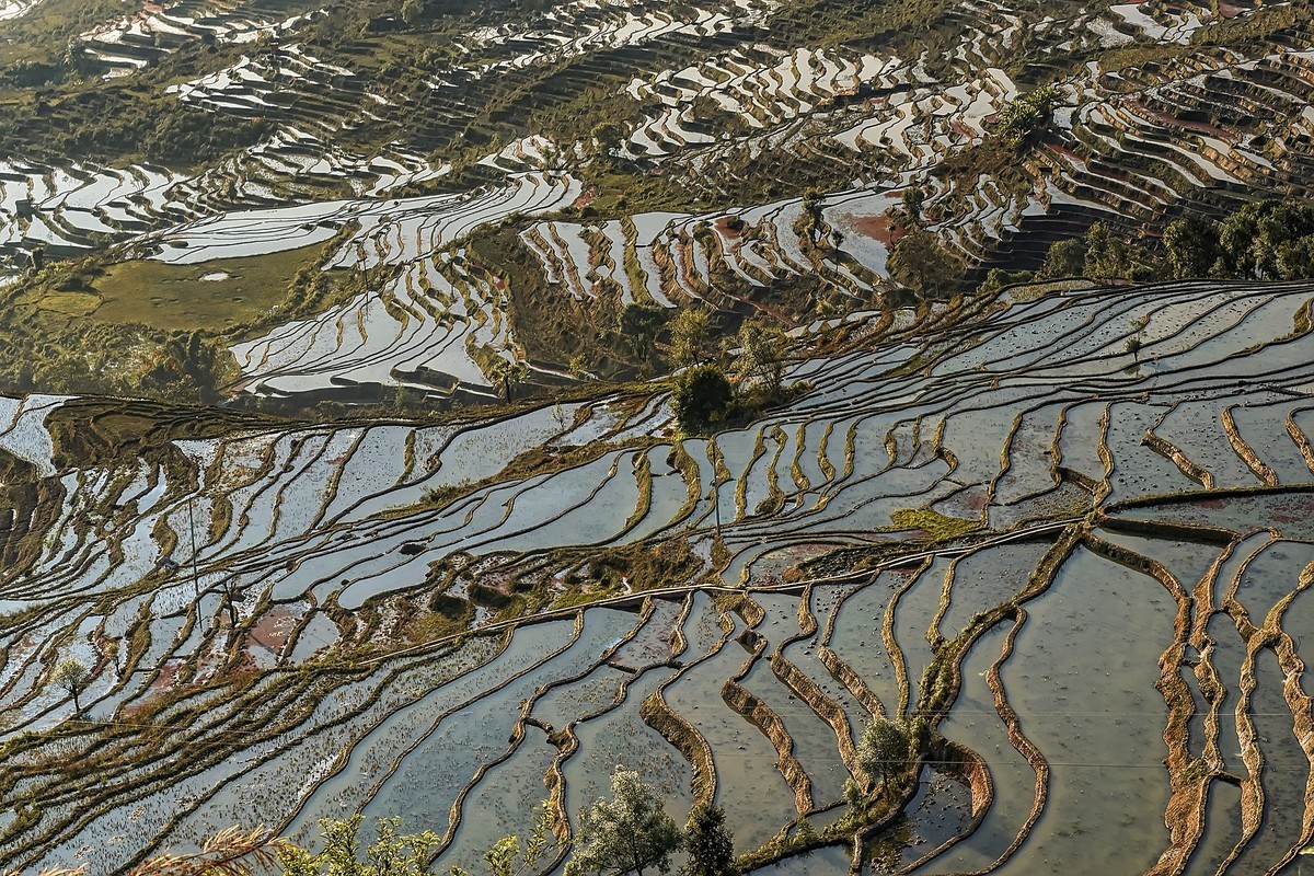 云南红河 · 撒玛坝梯田