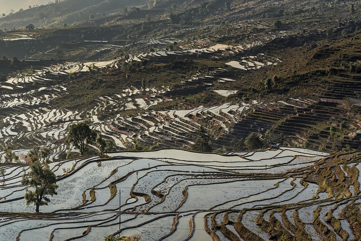 云南红河 · 撒玛坝梯田