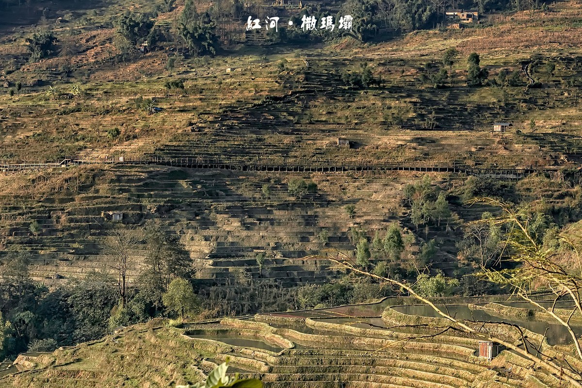 云南红河 · 撒玛坝梯田