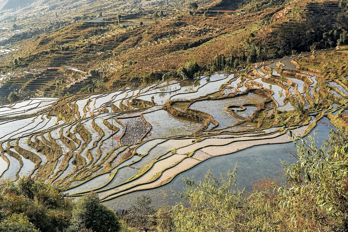 云南红河 · 撒玛坝梯田
